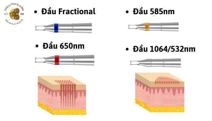 Đa dạng đầu điều trị tùy chọn của máy Solis VO6