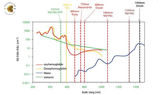 Bước sóng và độ thẩm thấu của laser Pastelle
