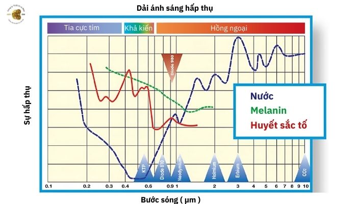 Nguyên lý diode laser của máy trị giãn mao mạch 980nm 