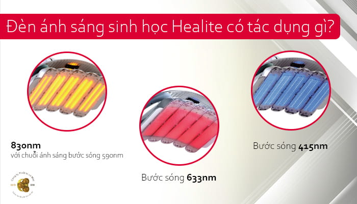 Đèn ánh sáng sinh học có tác dụng gì?