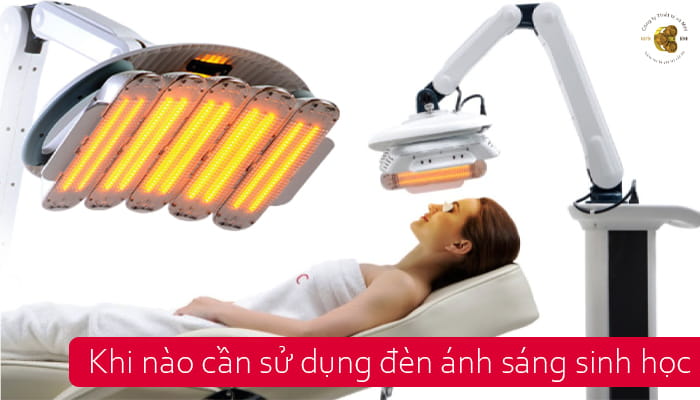 Khi nào cần sử dụng đèn ánh sáng sinh học