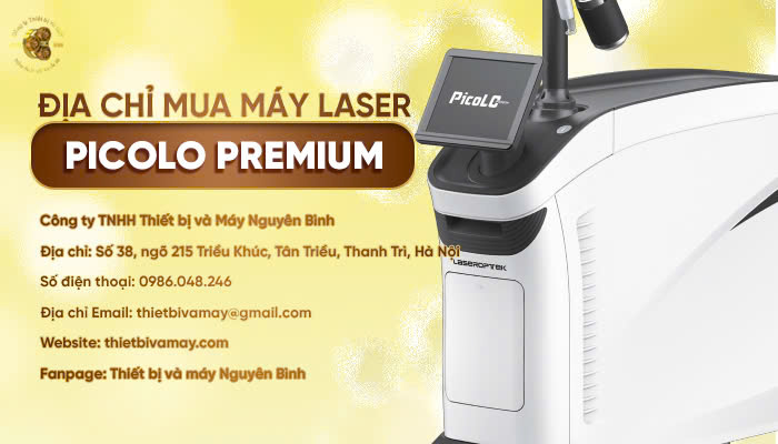 Địa chỉ mua máy Laser PicoLO Premium