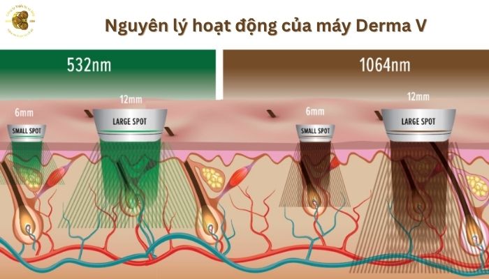 Nguyên lý hoạt động của máy Derma V